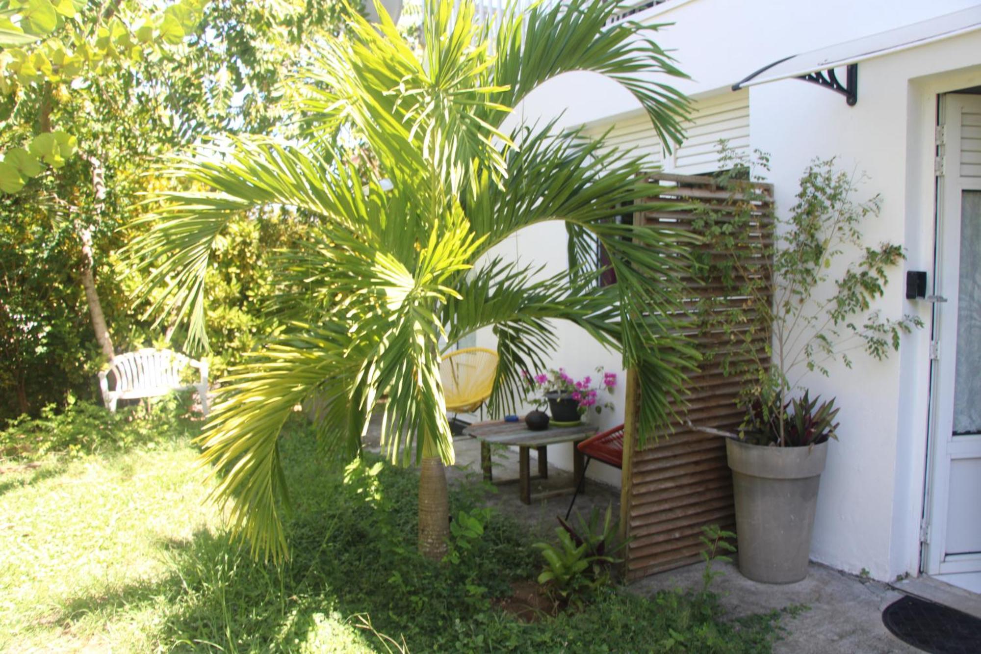 Le Colibri Et Le Frangipanier Apartment Ла Трините Екстериор снимка